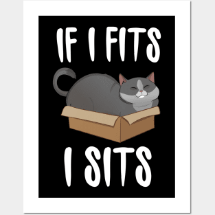 If I Fits I Sits (cat in a box) Posters and Art